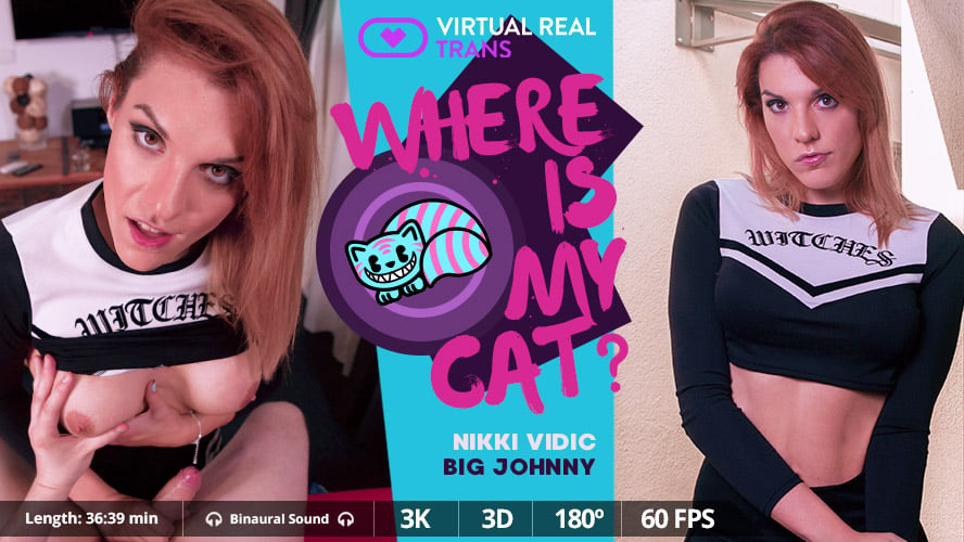 Where is my cat? | VirtualRealTrans.com VR Porn video | HD Trailer