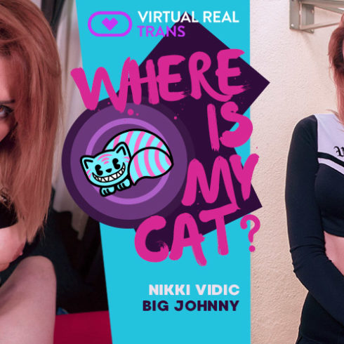 Sex VR Porn Photo Trans Where is my cat