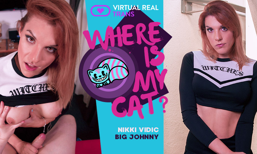 Sex VR Porn Photo Trans Where is my cat