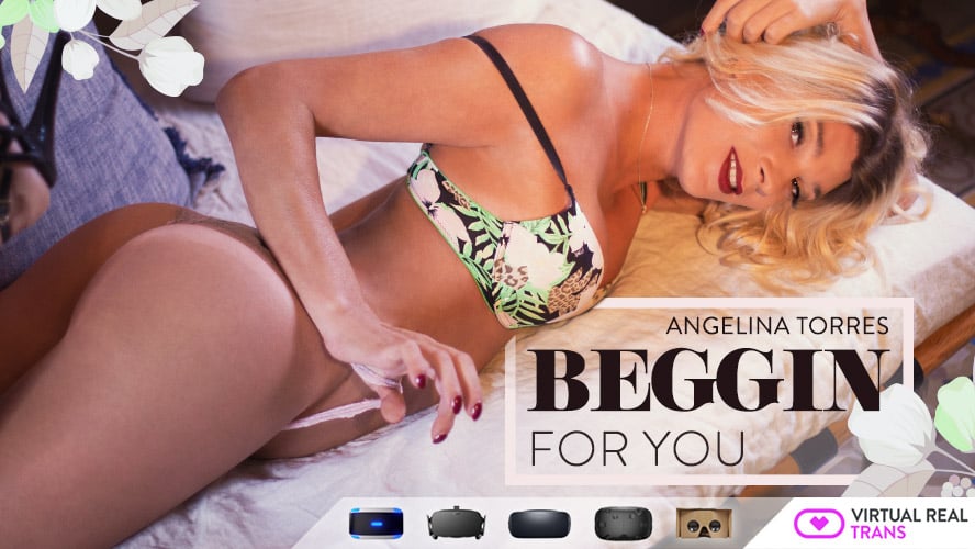 Sex VR Transsexual Porn Beggin for you