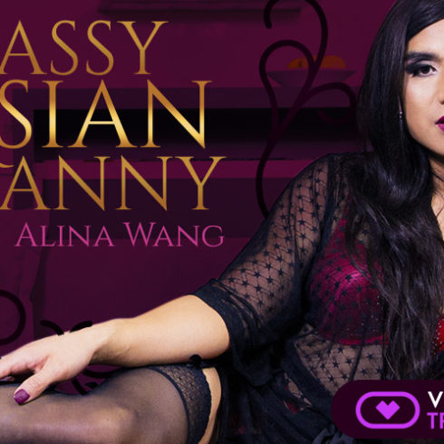 Sex VR Porn Photo Transsexual Classy asian tranny